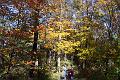 fall 039